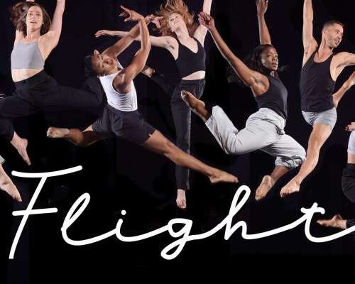 Flight1920X1080